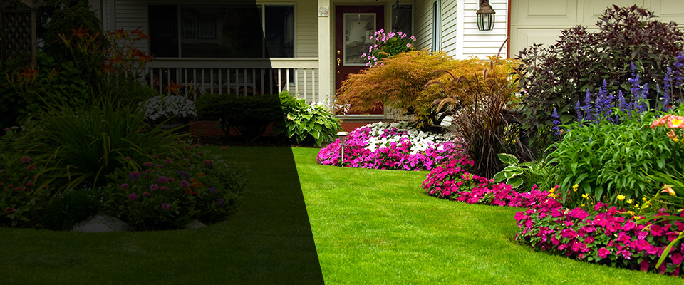 Marlin Landscapers